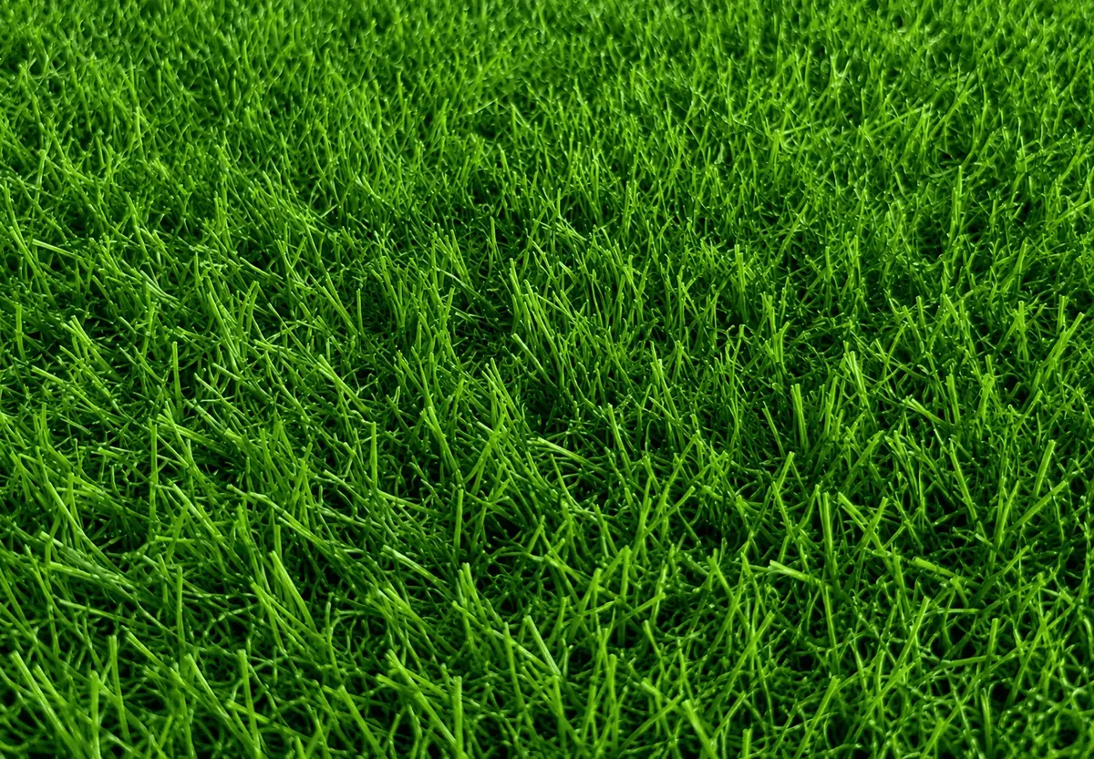 ILAN Evergreen 20 mm artificial grass pile close-up