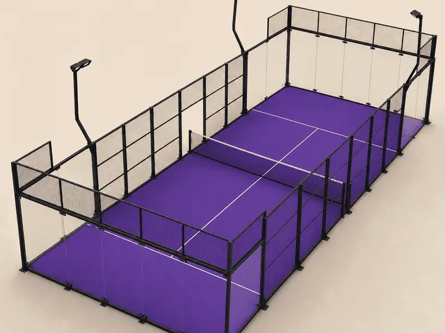 ILAN Panoramic padel court in purple turf, glass back walls and steel mesh structure